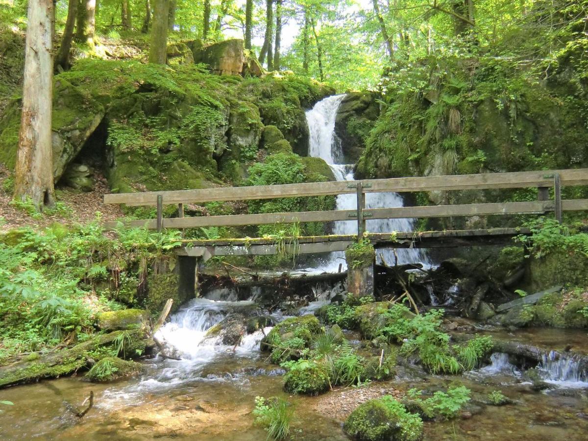 Kandelbleibe Waldkirch Exteriér fotografie
